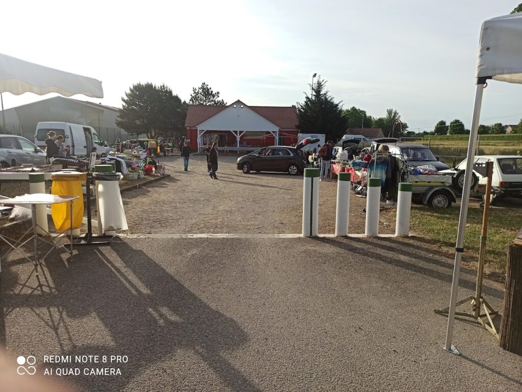 21ème marché aux puces au TCDLV